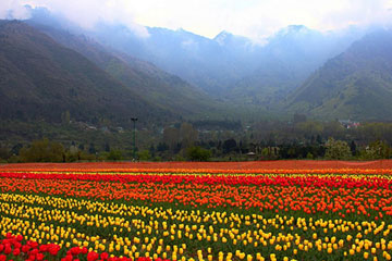 Srinagar-Kashmir 7 Days Tour Package